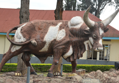 Mbarara High School